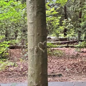 收聽Osei的trauma response (Explicit)歌詞歌曲