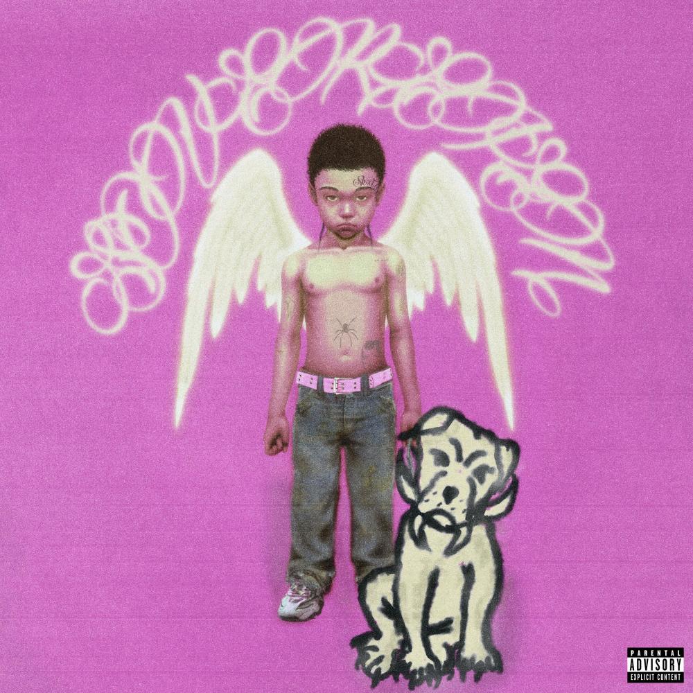 STRANGER (feat. xanephine & Ned Kelly) (Explicit)