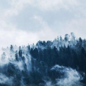 Listen to Dance The Night Away (Radio Edit) song with lyrics from The Hounds of Baskerville
