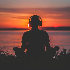อัลบัม Echoes for Meditation: Calm Insights ศิลปิน Zen Meditation
