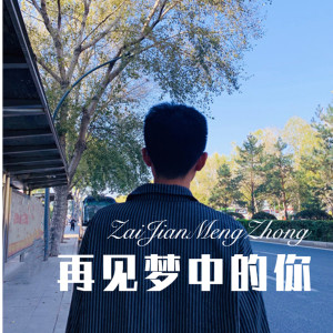 收听宇久迪的再见梦中的你歌词歌曲