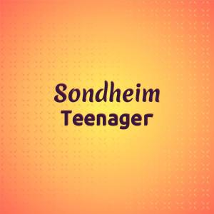 Various Artists的專輯Sondheim Teenager