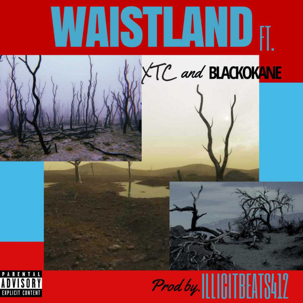 Waist Land (Explicit)