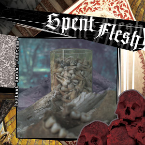 Spent Flesh的專輯Deviant Burial Customs