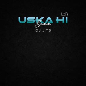 收听Dj Jits的Uska Hi Banana (Lofi)歌词歌曲