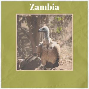 Zambia dari Various