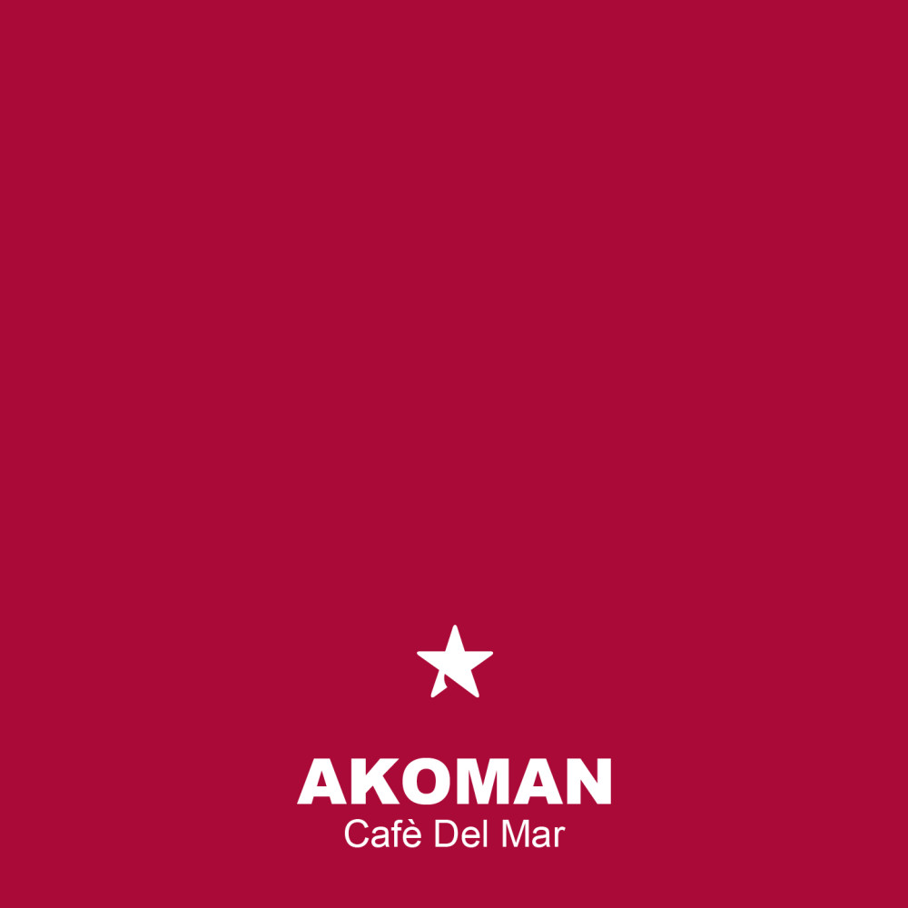 Cafè Del Mar (Electro House Edit)