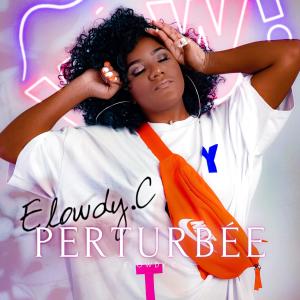 Album Perturbée from ELOWDY.C