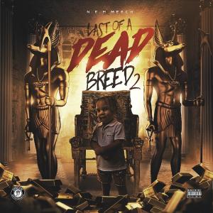 收聽Nem Meech的Never Be (feat. 2 Gunz) (Explicit)歌詞歌曲