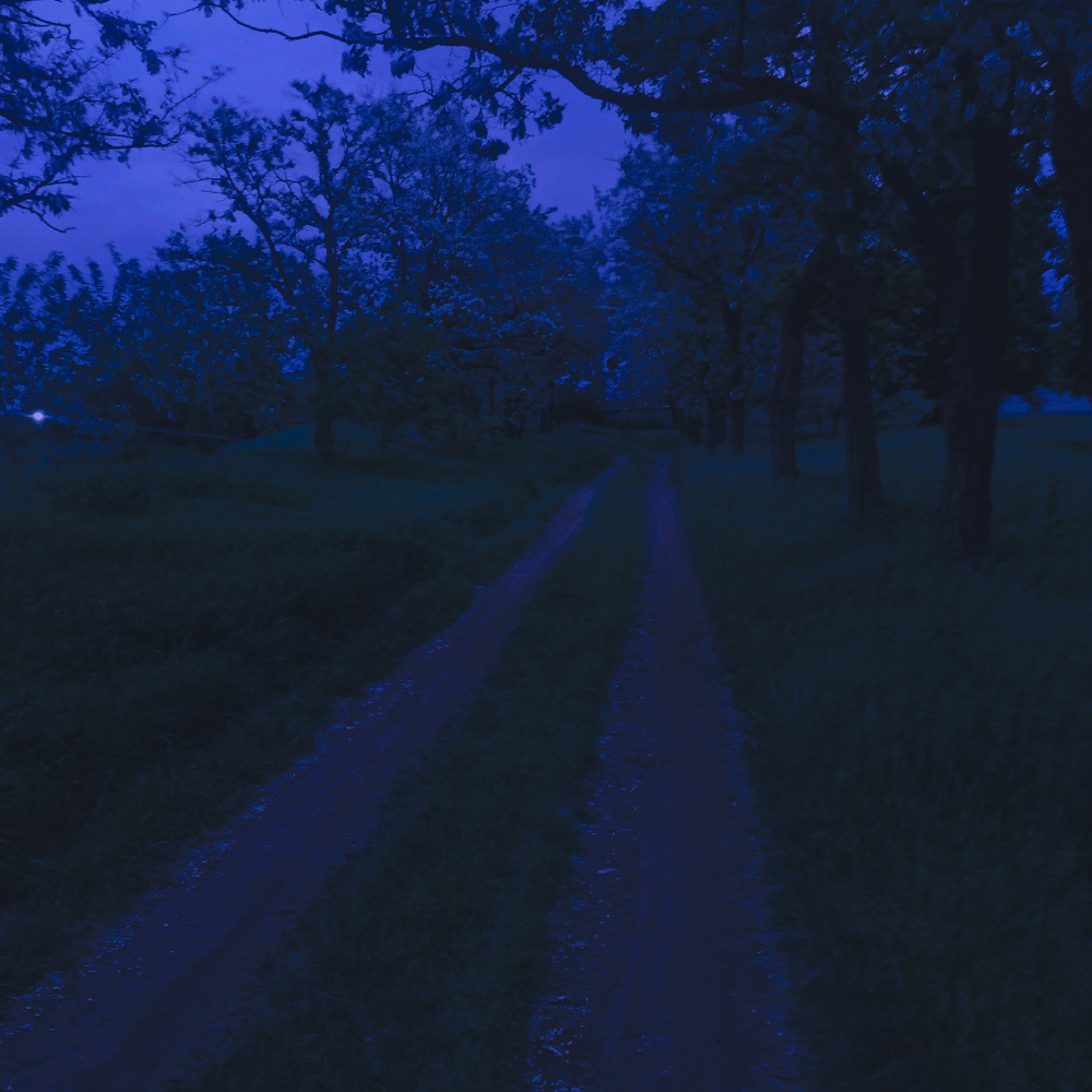 see you next time (Slowed)