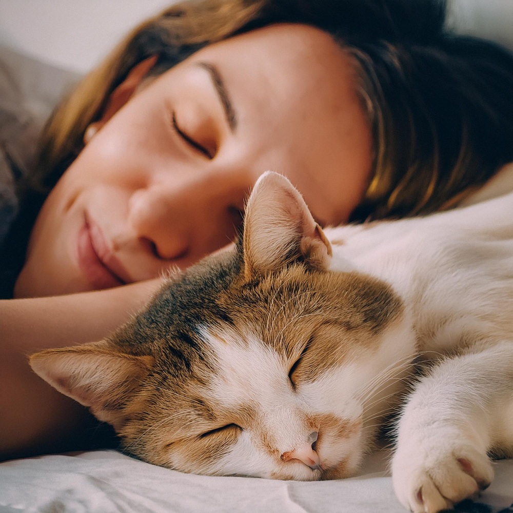 Ritmos Silenciosos Para Relajar A Las Mascotas