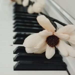 ดาวน์โหลดและฟังเพลง 画卷莲 พร้อมเนื้อเพลงจาก N.K. 杨凯