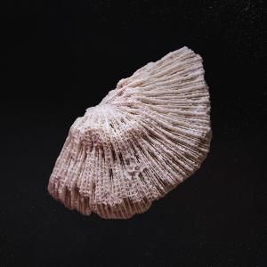 Melina Moguilevsky的專輯Lluvia