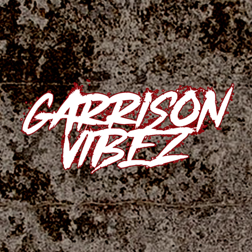 10Tik Garrison Vibez Freestyle (Explicit)