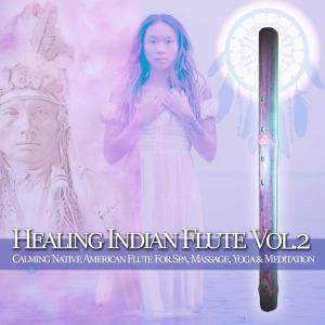 Album Healing Indian Flute Vol. 2: Calming Native American Flute for Spa, Massage, Yoga & Meditation from Flute Music Meditation DEA Channel