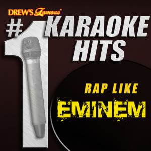 ดาวน์โหลดและฟังเพลง Without Me (As Made Famous By Eminem) พร้อมเนื้อเพลงจาก Karaoke