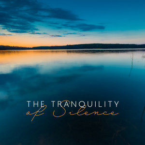 Sleeping Music Zone的專輯The Tranquility of Silence (Quiet Melodies for Amazing and Calm Dreams, The Power of Silence, Heal Yourself While Sleeping)