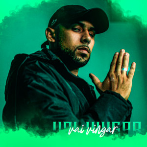 Mc Fabinho的专辑Vai Vingar (Explicit)
