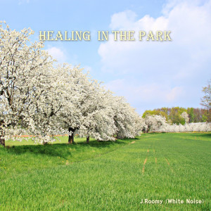 Album Healing in the Park from J.Roomy