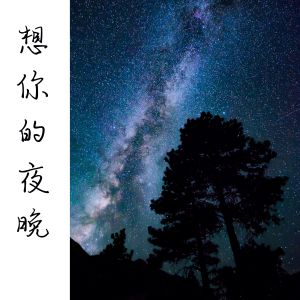Dengarkan 想你的夜晚 lagu dari Yun Mao dengan lirik