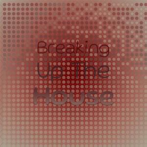 Album Breaking Up The House from Silvia Natiello-Spiller