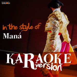收聽Ameritz Spanish Karaoke的Combatiente (Karaoke Version)歌詞歌曲