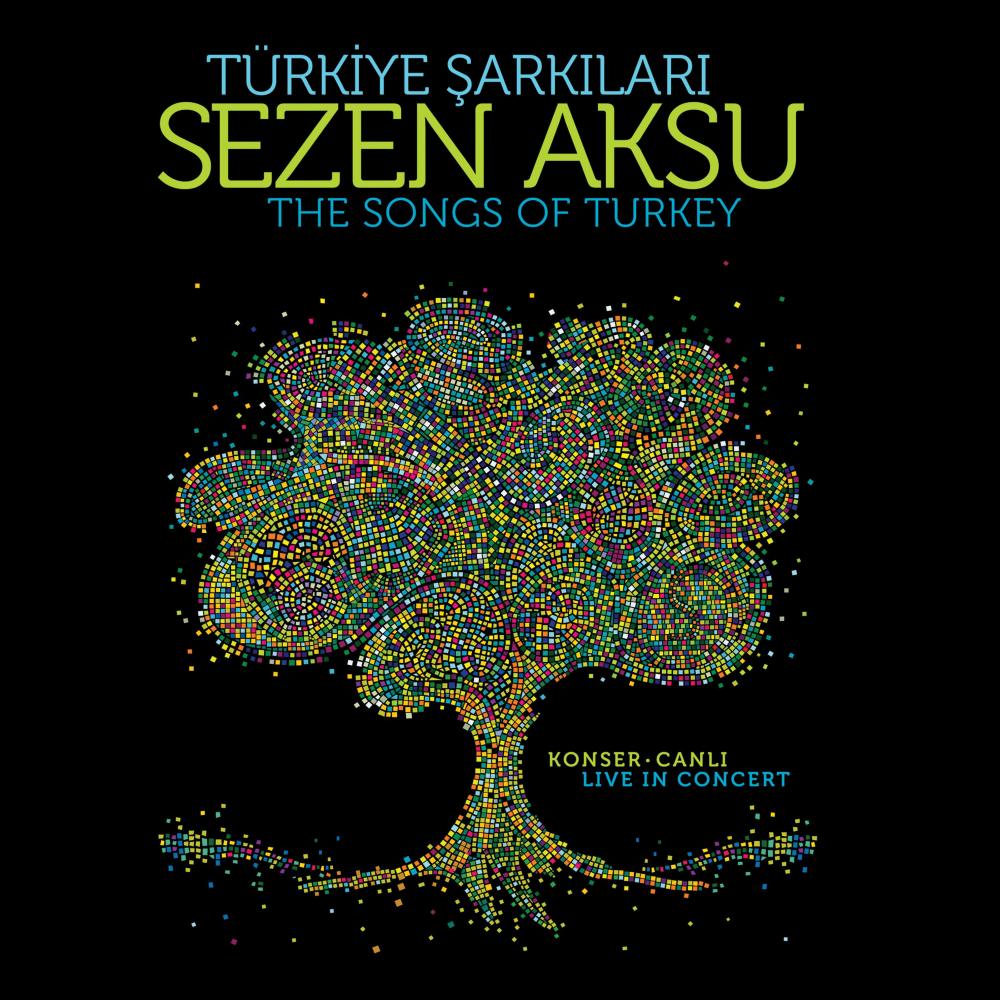 Ne Kavgam Bitti Ne Sevdam (Canlı)