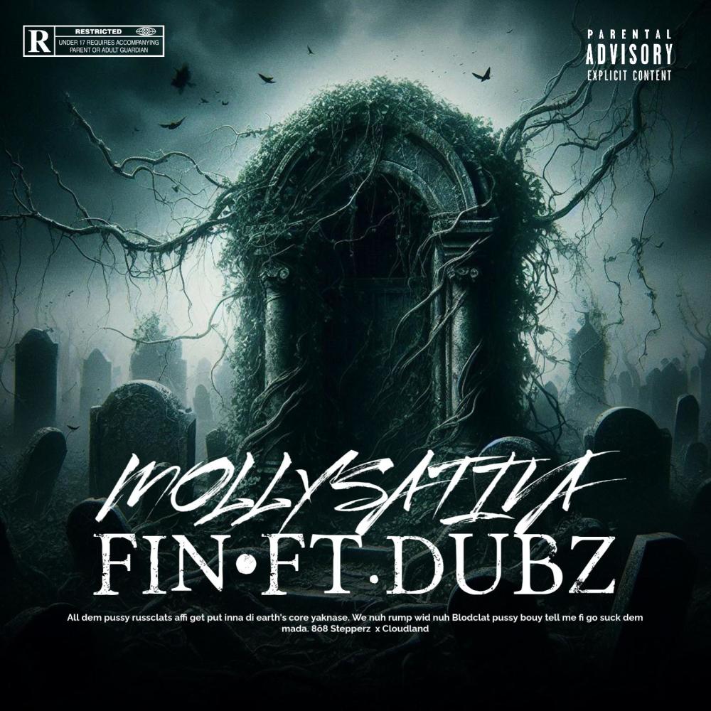 FIN (feat. Dubz|Explicit)