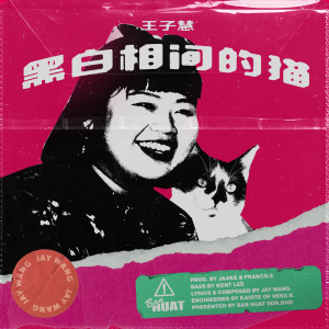 王子慧的专辑黑白相間的貓