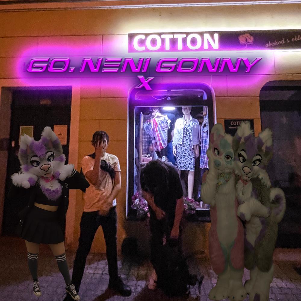Go neni. goony na X (feat. lostinmaze & snowmarley) (Explicit)