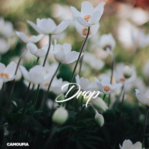Listen to Drop song with lyrics from Camoufia