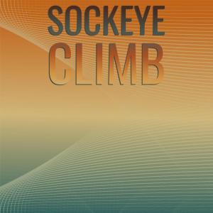 Sockeye Climb dari Various