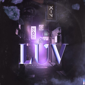 ดาวน์โหลดและฟังเพลง Luv พร้อมเนื้อเพลงจาก Cali Budz