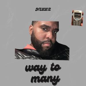 收聽Nellz的Way To Many (Explicit)歌詞歌曲