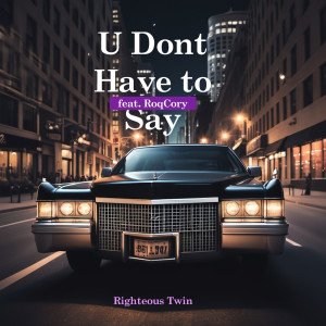 Listen to U Dont Have to Say song with lyrics from Righteous Twin