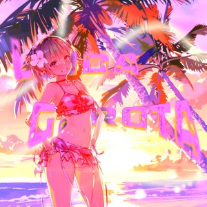 default playlist img