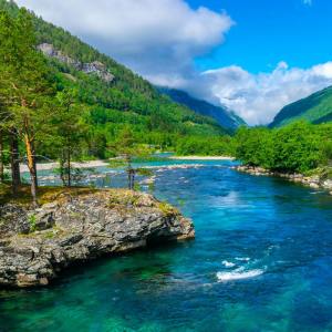 Listen to Zen Forest song with lyrics from Study Music & Sounds