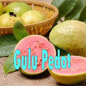 Album Gulu Pedot from Dewangkara
