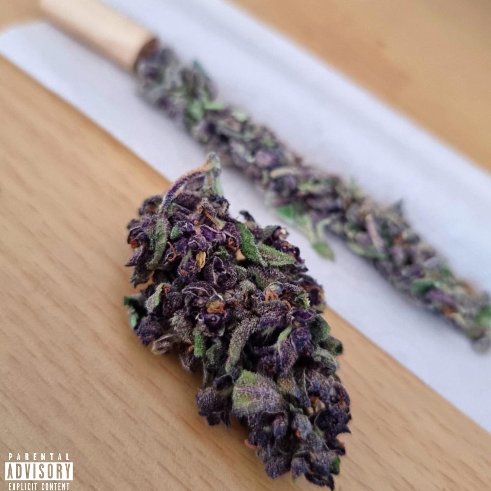 Outro (Explicit)