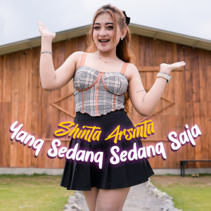 Dengarkan Yang Sedang Sedang Saja lagu dari Shinta Arsinta dengan lirik