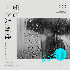 收聽趙洋的忘記一個人好難歌詞歌曲