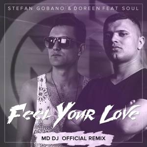 ดาวน์โหลดและฟังเพลง Feel Your Love (MD DJ Remix) พร้อมเนื้อเพลงจาก Soul