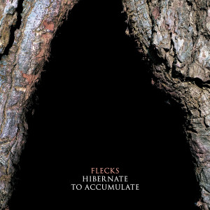 อัลบัม Hibernate to Accumulate ศิลปิน Flecks