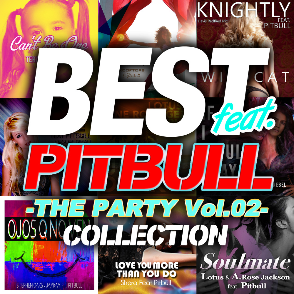 Soulmate[feat. Pitbull] (EDM Remix Edit)