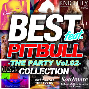ดาวน์โหลดและฟังเพลง Wildcat(Davis Redfield EDM Edit)[feat. Pitbull] พร้อมเนื้อเพลงจาก Knightly