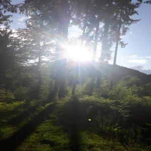 收聽Viguel的Passion (Explicit)歌詞歌曲