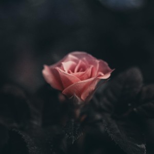 Dengarkan One Partner lagu dari Re Gabut dengan lirik