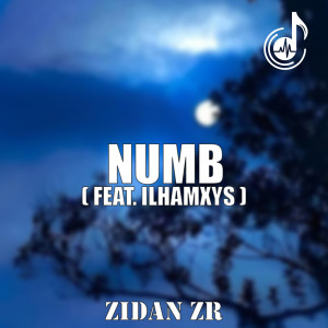 Zidan ZR的專輯Numb
