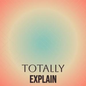 Various的专辑Totally Explain