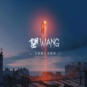 Listen to 望 song with lyrics from 王星贺